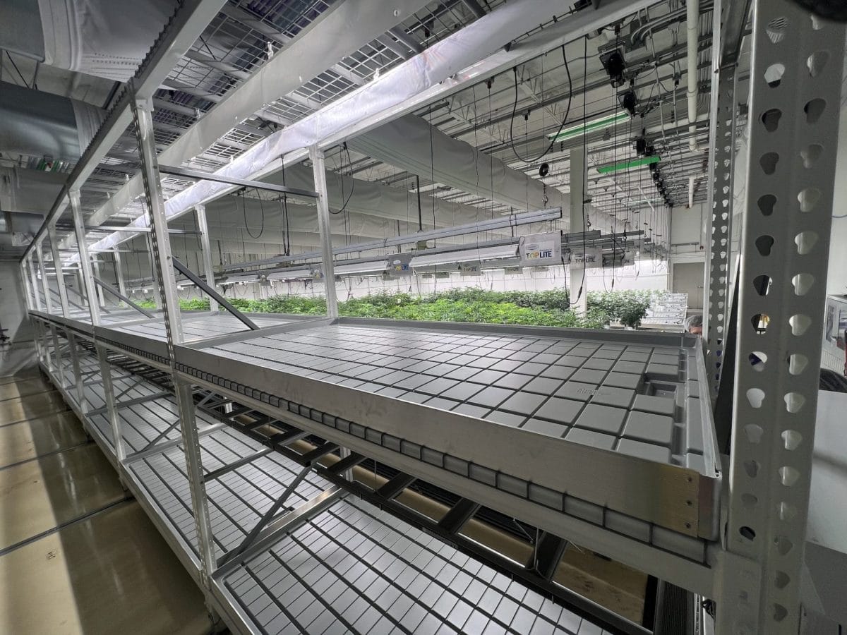 Seedlings Rack Commercial Vertical Grow Racks for Cannabis | Commercial Grow Systems