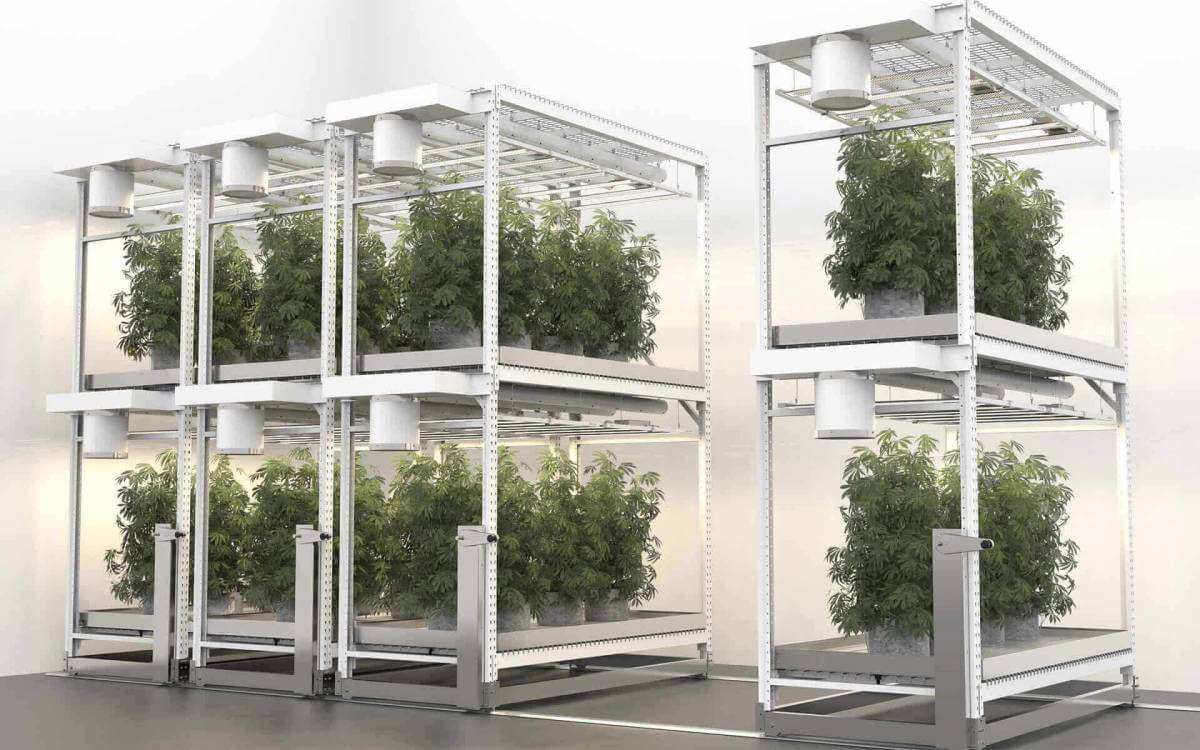 Seedlings Rack Commercial Racks & Benches for Commercial Cannabis Cultivations | CM Horticulture