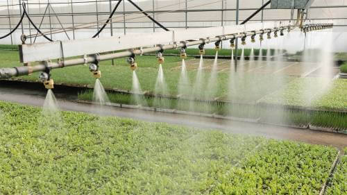 irrigation system in greenhouse
